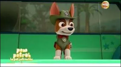 Quelle est la race de Tracker ?