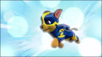 Quelle est la race de Chase ?