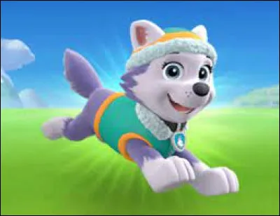 De quelle race est Everest ?