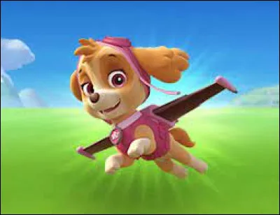 De quelle race est Stella ?