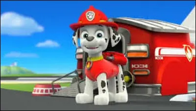 De quelle race est Marcus ?