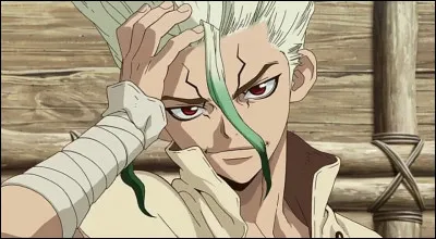 De quel anime vient Senku ?