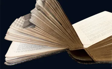 Quiz Bible