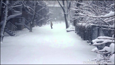 Quelle saison pr&eacute;f&egrave;res-tu ?