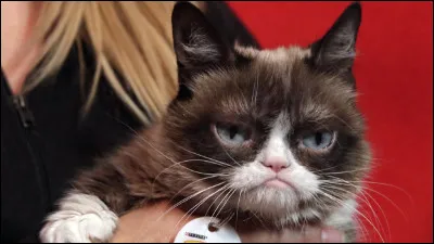 Quel est le nom de sa maîtresse ?