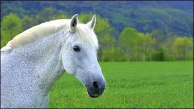 Quelle est celle-ci ?