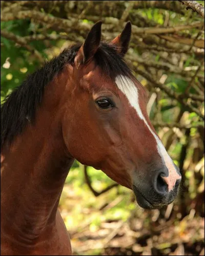 Quelle est celle-là ?