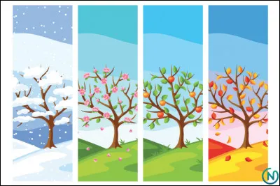 Quelle est ta saison ?