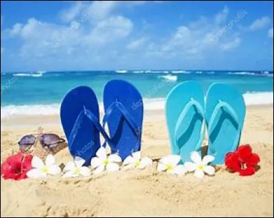 It's holidays ! Ce genre de chaussures sont les plus portées quand on va à la plage, ce sont...