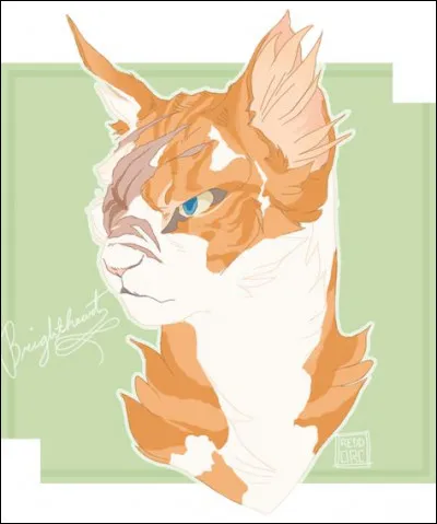 Qui a &eacute;t&eacute; son premier mentor ?