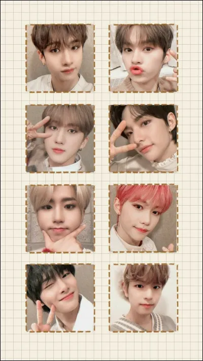 Qui est le plus jeune dans Stray Kids ?