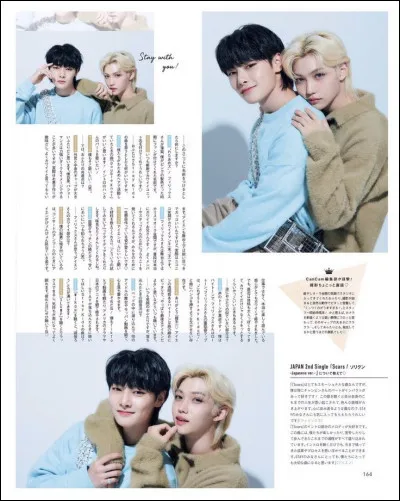 Combien sont les Stray Kids ?