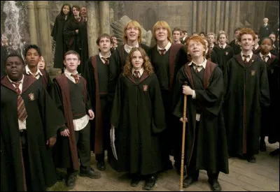 Qui est l'ennemi juré de Harry, Ron et Hermione ?