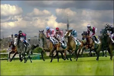 Quel est le nom de la discipline prsente sur la photo ?