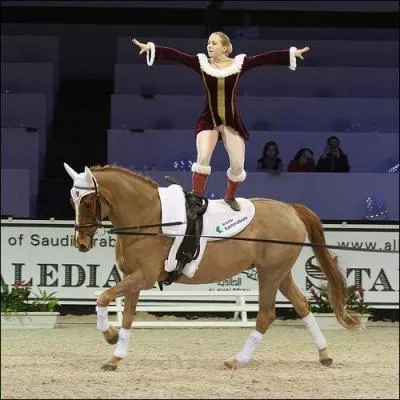 Quel est le nom de la discipline prsente sur la photo ?