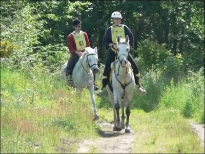 Quel est le nom de la discipline prsente sur la photo ?