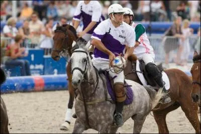 Quel est le nom de la discipline prsente sur la photo ?