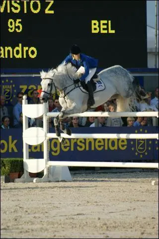 Quel est le nom de la discipline prsente sur la photo ?