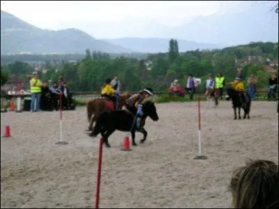 Quel est le nom de la discipline prsente sur la photo ?
