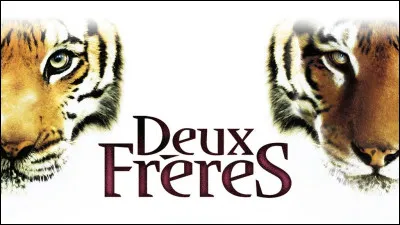 À quel réalisateur doit-on "Deux Frères" ?