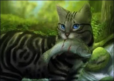 Tu apprends que tu vas devenir guerrier, quel est ton ressenti ?