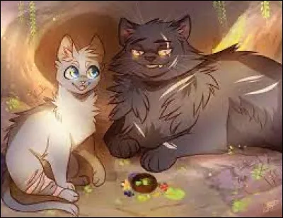 Tu apprends que la guérisseuse Plume de Muscade recherche un apprenti.