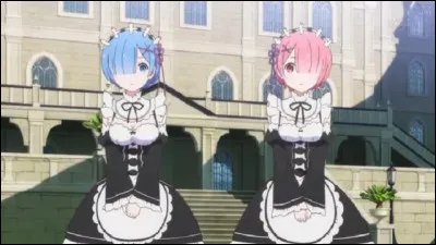 À quelle espèce appartiennent Ram et Rem ?