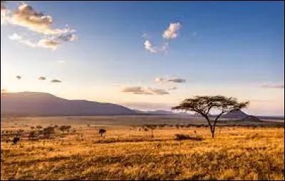 Quel environnement te fait le plus envie ?