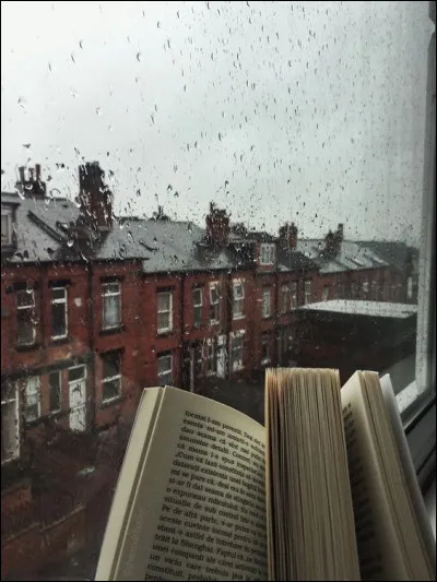 Essais - Quel auteur résume tout un siècle d'humanisme à travers ce bien célèbre ouvrage ?