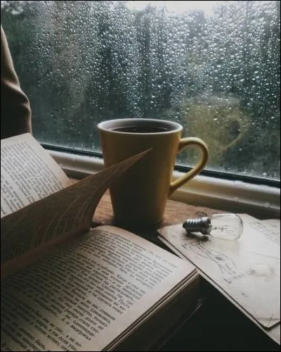 LAstrée - Quel métier exercent les héros, Céladon et Astrée, en Gaule ?