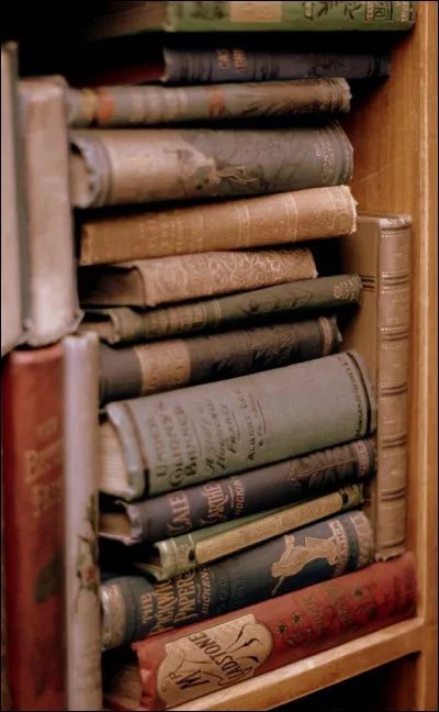 Gargantua et Pantagruel - Quel lien existe-t-il entre ces deux géants ?