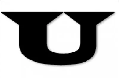 Quelle est la définition d'ursidé ?