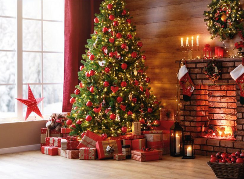 À Noël, quel arbre décorons-nous de mille couleurs ?