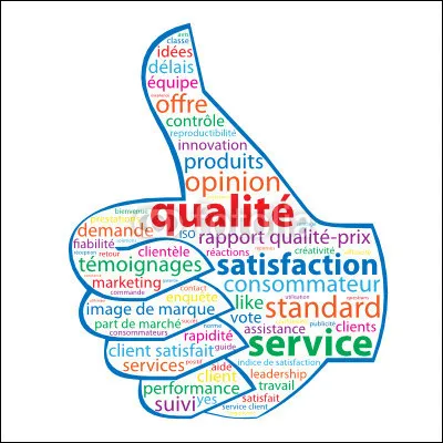 Ta qualité principale est :