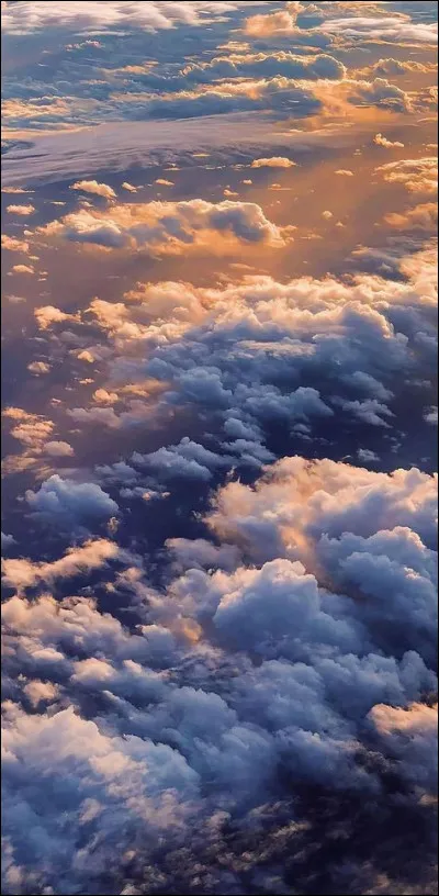 Si vous deviez noter votre maîtrise de la langue de Molière :