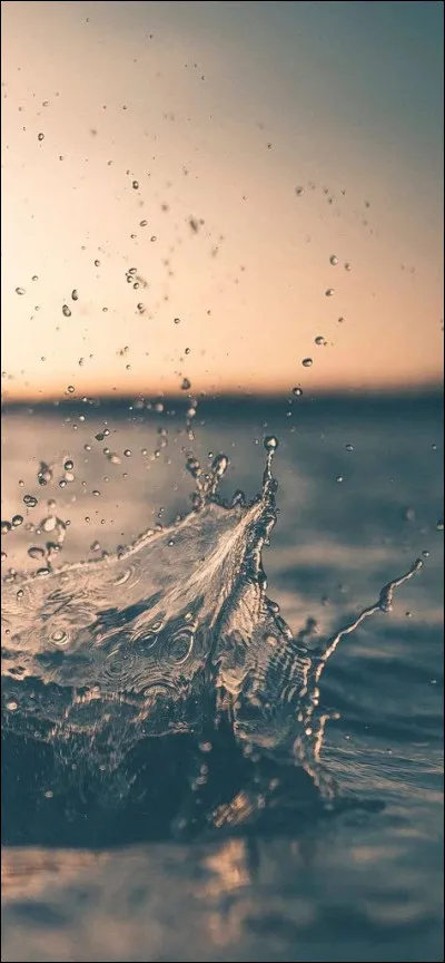 Dans quelle partie du monde aimeriez-vous voyager ?