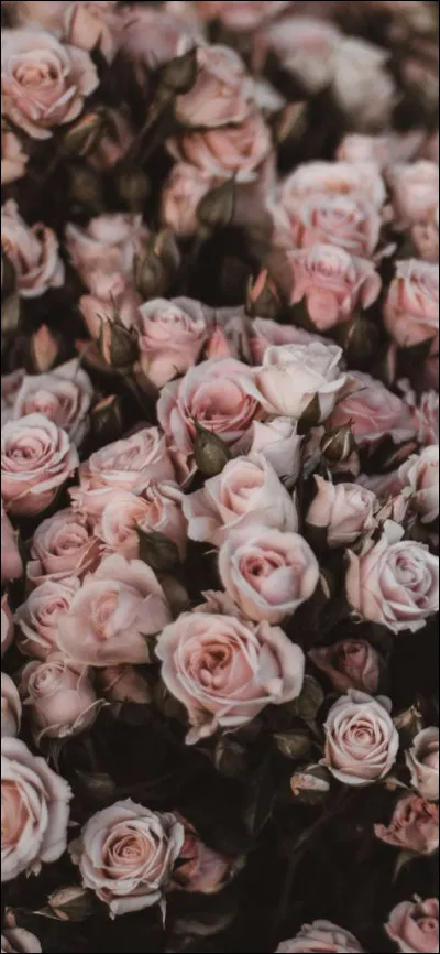 A choisir, lequel de ces objets emmenez-vous en voyage ?