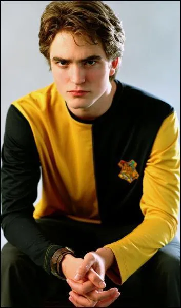 Dans quel film de la saga Harry Potter ne joue-t-il pas ?