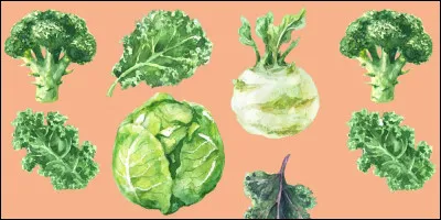 Quelle variété de choux est la plus appréciée en France de nos jours ?