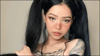 Quelles sont les stars de TikTok ?