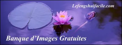 Que penses-tu de l'amour ?