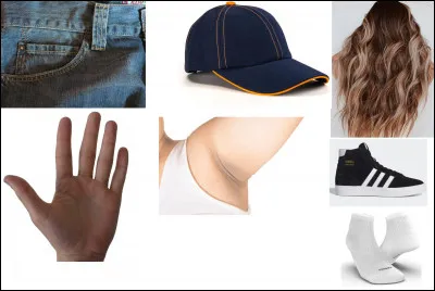 Ensuite, les bandits prennent l'argent de la banque et le cachent sur eux. Dès le départ, fixez les zones autorisées et non autorisées. Sur cette image, les parties où les méchants peuvent cacher leurs faux billets sont ...