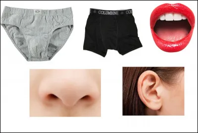 Quant aux zones non autorisées, quelles sont-elles ?