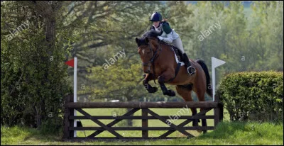 Il est très apprécié en