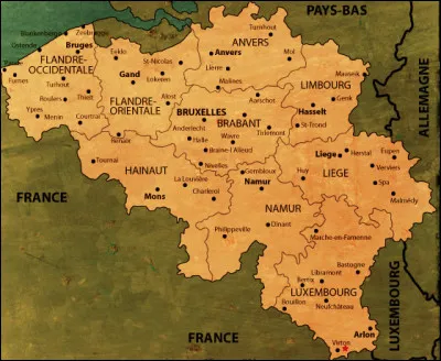 Le français est l'unique langue officielle de la Belgique.