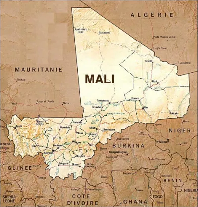 L'unique langue officielle au Mali est le français.