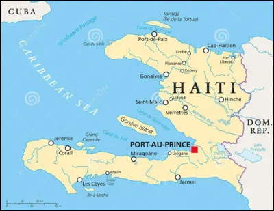 Le français haïtien est l'unique langue officielle d'Haïti.