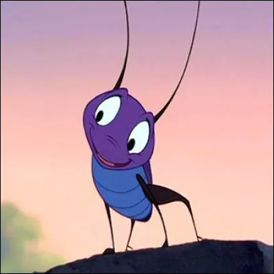 Comment s'appelle son criquet porte-bonheur ?