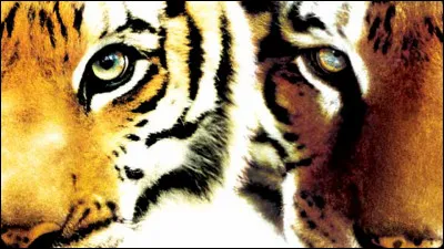 Lequel de ces animaux n'a pas encore été mis à l'honneur dans un film de Jean-Jacques Annaud ?