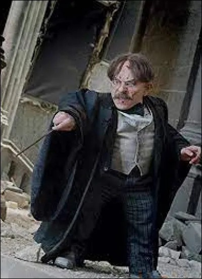 Quel acteur joue Filius Flitwick ?